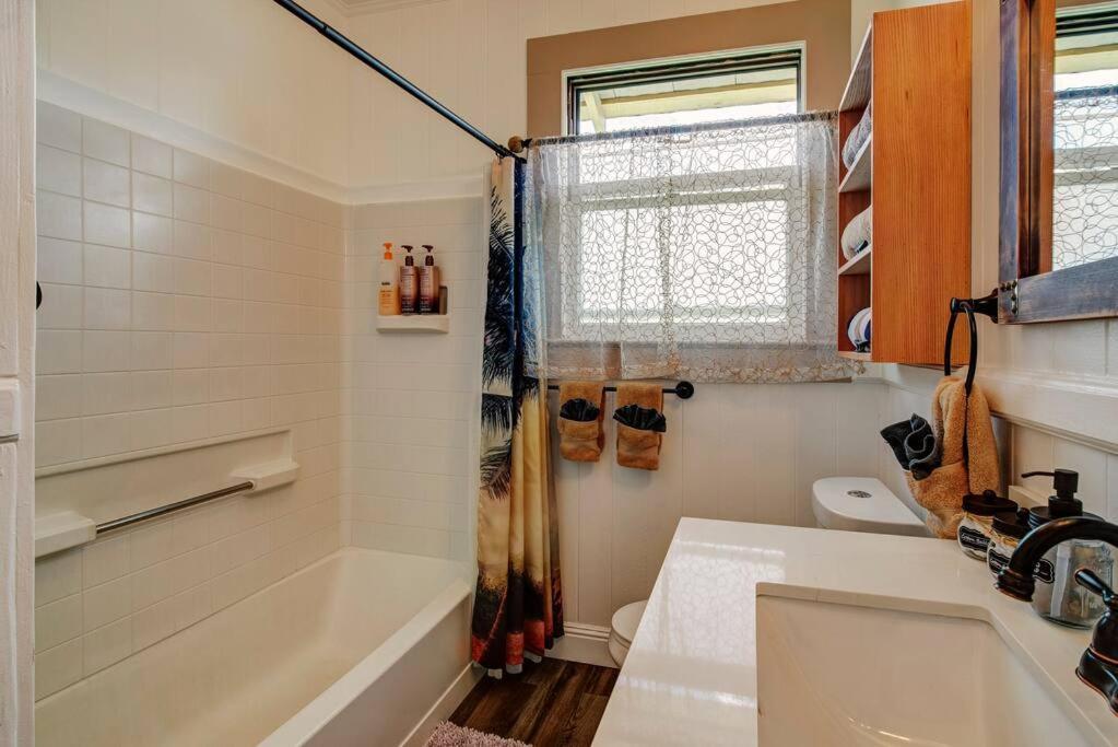 New Paddler'S Inn- 3Br Hilo Downtown Dış mekan fotoğraf